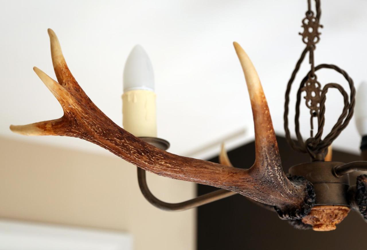The Museum Inn Farnham  Ngoại thất bức ảnh